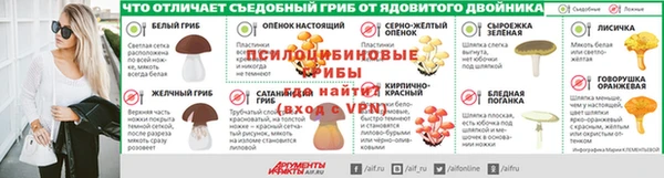 ГАЛЛЮЦИНОГЕННЫЕ ГРИБЫ Баксан