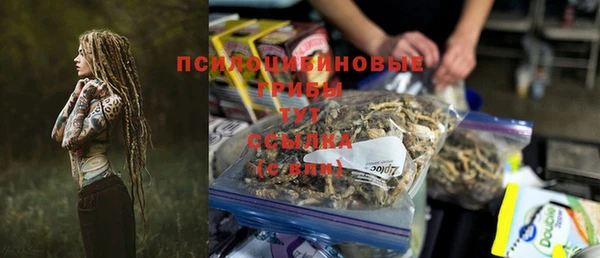 дживик Балахна