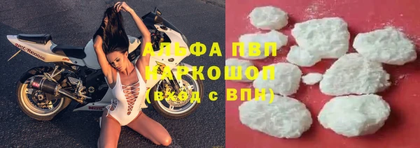 ГАЛЛЮЦИНОГЕННЫЕ ГРИБЫ Баксан