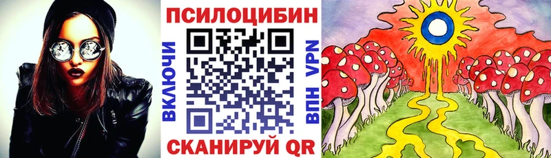Галлюциногенные грибы мухоморы  Салаир 